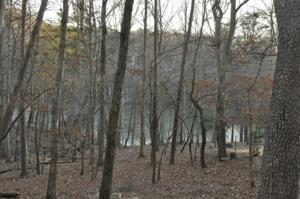 Lot 351 Lakeview Trace
