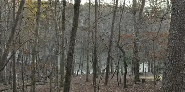 Lot 351 Lakeview Trace
