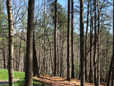 Carters View Drive