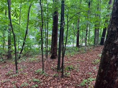 Lot 100 Lake Club Drive