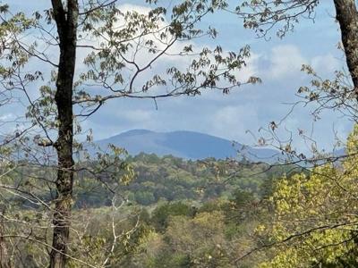 TRACT1 Panorama Drive