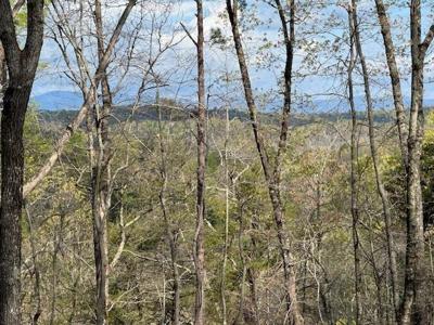 TRACT2 Panorama Drive
