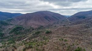 Kings Knob Trail