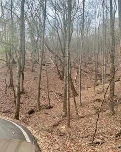 649 Woodland Trace