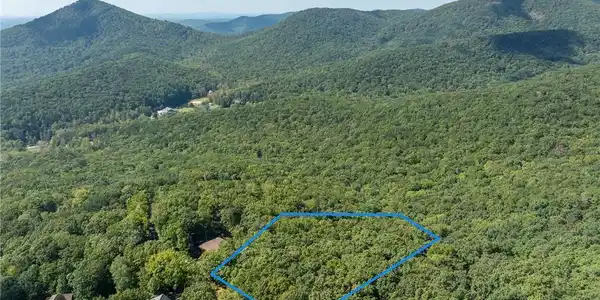 4406 Bee Tree Ridge Court