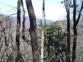 3406 Wildcat Trail Lot 3406