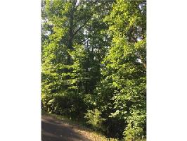 4441 Bee Tree Ridge Drive Lot 4441