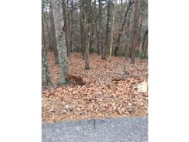 153 Little Coyote Loop Lot 23
