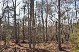 7320 Skyline Drive