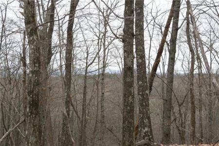 Lt 1 Grandview Trail