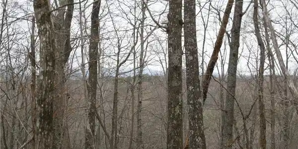 Lt 1 Grandview Trail