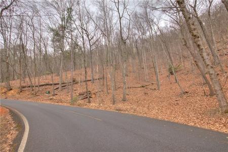 803 Woodland Trace
