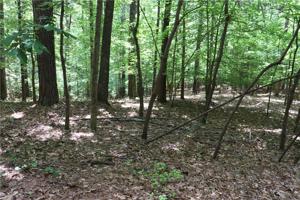 Lot 586 587 Rabke Road