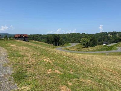 Lot 29 Big Valley Overlook