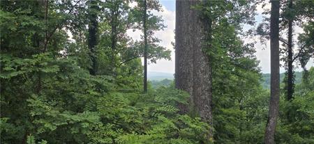1 Windning Ridge