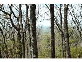 8251 Cox Mountain Drive Lot 8251