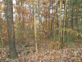 1700 Shade Tree Drive Lot 1700