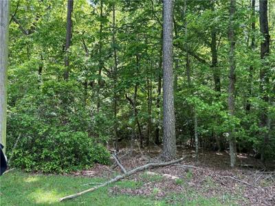 158 Lone Bear Drive