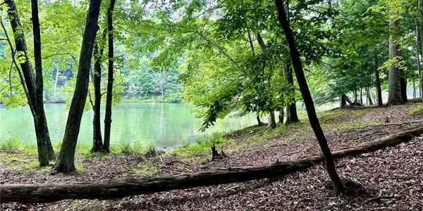 LT351 Lake View Trace