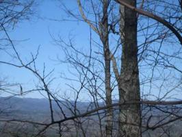 2087 Cherokee Trail