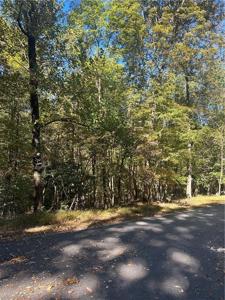 8036 Blackgum Drive