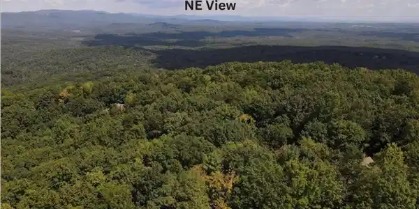 68 Wood Fern Knoll