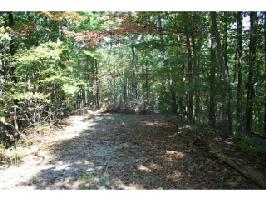 1220 Juniper Court Lot 1220