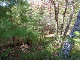 2474 Wedgewood Drive Lot 2474