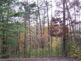 66 Red Trillium Lane Lot 3255