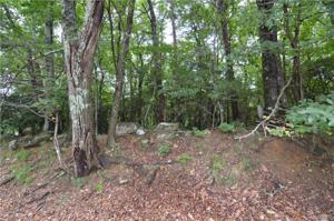5134 Buckskull Court