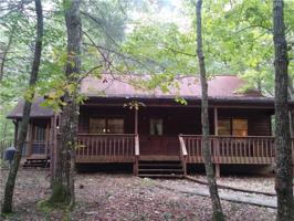 1167 TAMARACK Drive