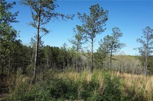 Lot 44 Fincher Road