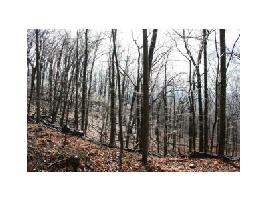 1618 Thunder Ridge Road Lot 1618