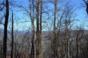 1906 Big Stump Mountian Trail