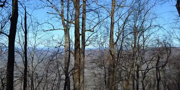 1906 Big Stump Mountian Trail