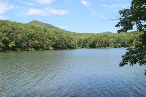 335 Lake View Trace
