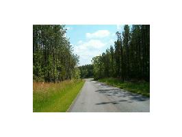 0 WhiteTail Drive Lot 5,6,7,