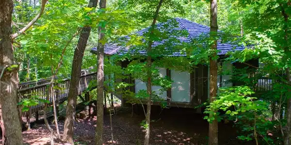 40 Treetopper Lane
