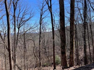 1144 grouse gap drive