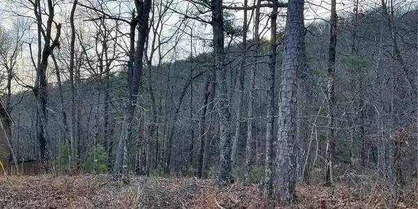 205 Sharp Top Mountain Trail