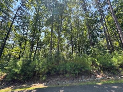 Lot N/A Carters View