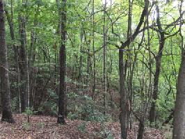 2120 McElroy Mountain Drive Lot 2120