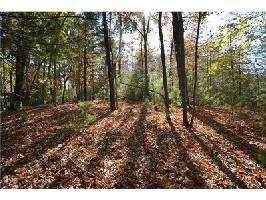 1024 Sconti Knoll Drive Lot 2632