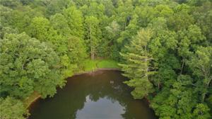 Tamarack Drive