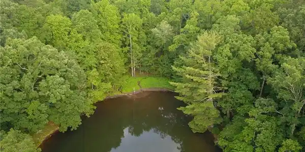 Tamarack Drive
