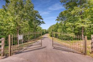 Ridgeway Forest