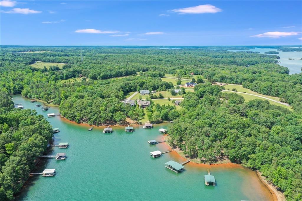 55 Majestic Shores Lane, Hartwell, GA lhrmls01984088
