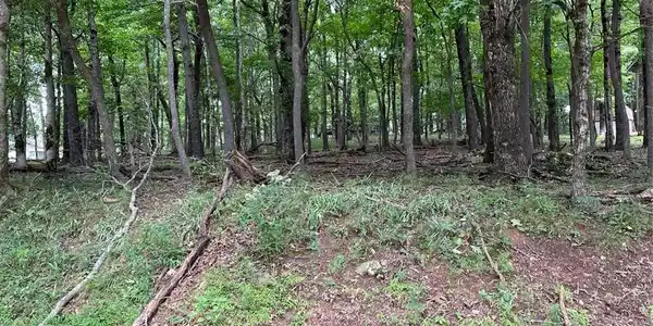1918 Big Stump Mountain Trail