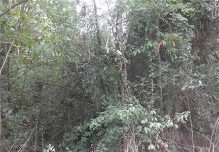 Lot 245 Waters Street