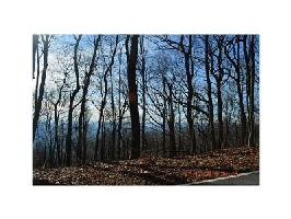 7190 Ridgeview Drive Lot 7190